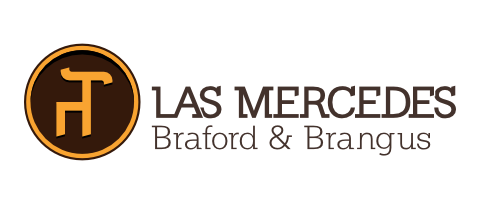 Cabaña Las Mercedes