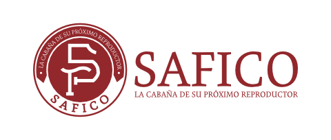 Cabaña Safico